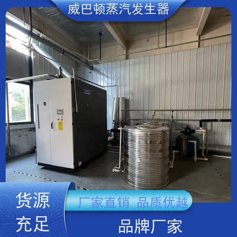 灭菌消毒 高压蒸汽锅炉 水容积≤30L，合规又省心 智能控温
