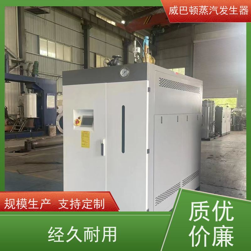  低氮冷凝 工业蒸汽发生器 水容积≤30L，合规又省心 大棚恒温
