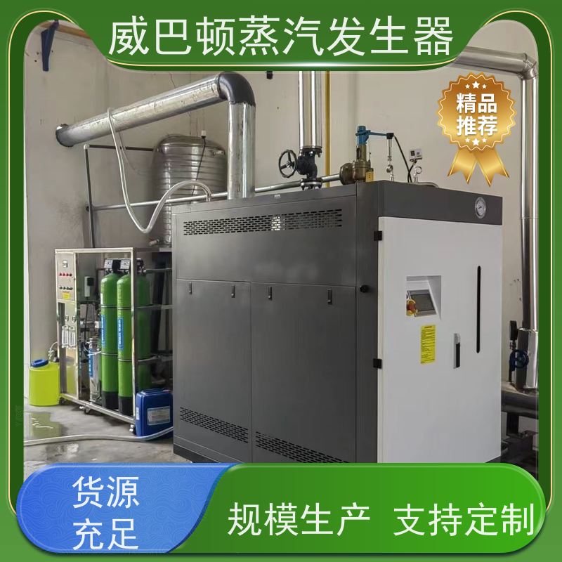  节能环保 全不锈钢锅炉 热效率 101% 还省气 混凝土养护