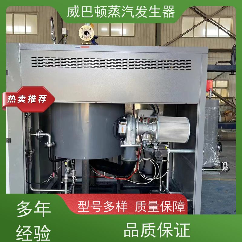  食品级 天然气锅炉设备 水容积≤30L，合规又省心 饲料行业