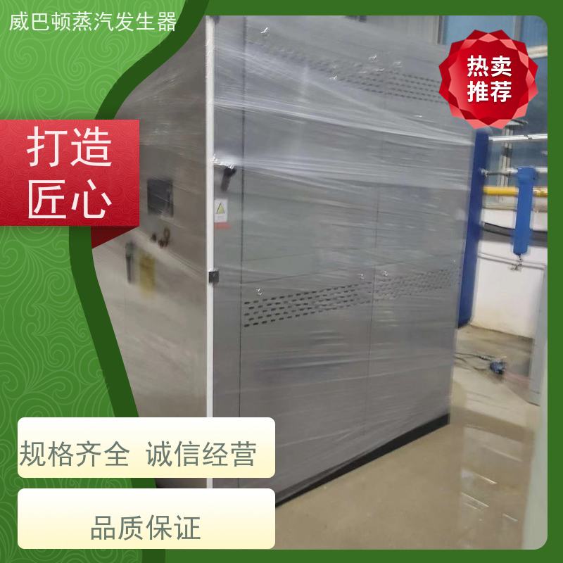  灭菌消毒 0.6T蒸汽发生器 水容积≤30L，合规又省心 印染厂