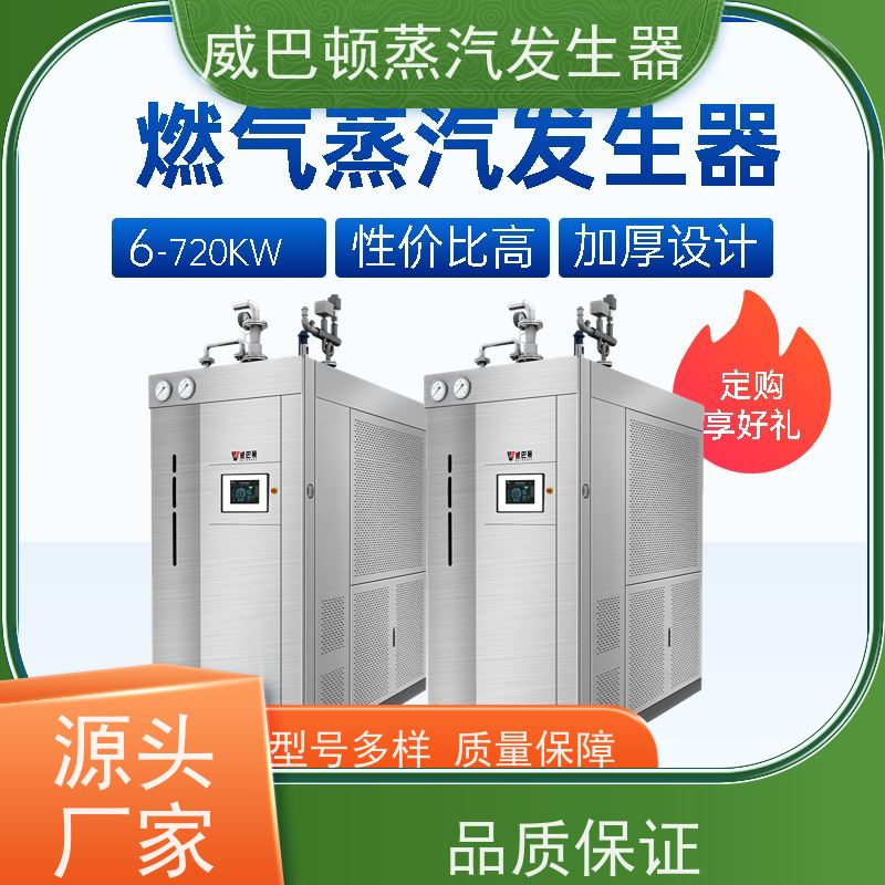  洗涤熨烫 5吨燃气锅炉 小车间也能轻松装 混凝土养护