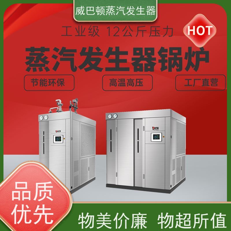  洗涤熨烫 10T蒸汽发生器 多台并联省气稳供 智能控温