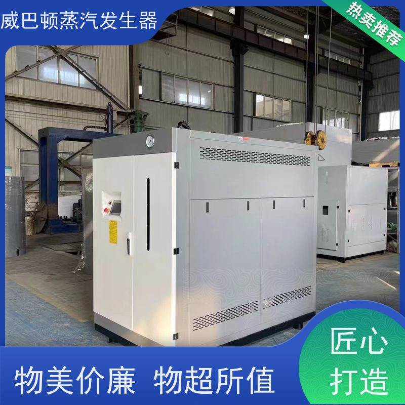  不锈钢 酿酒蒸汽发生器 水容积≤30L，合规又省心 印染厂