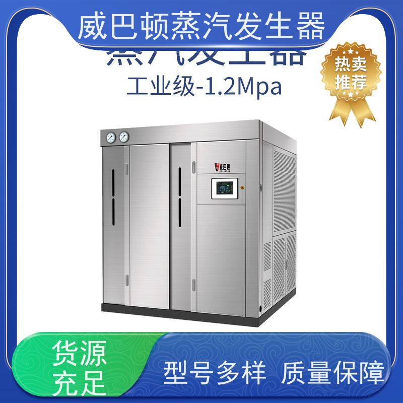  低氮冷凝 小型锅炉 多台并联省气稳供 混凝土养护