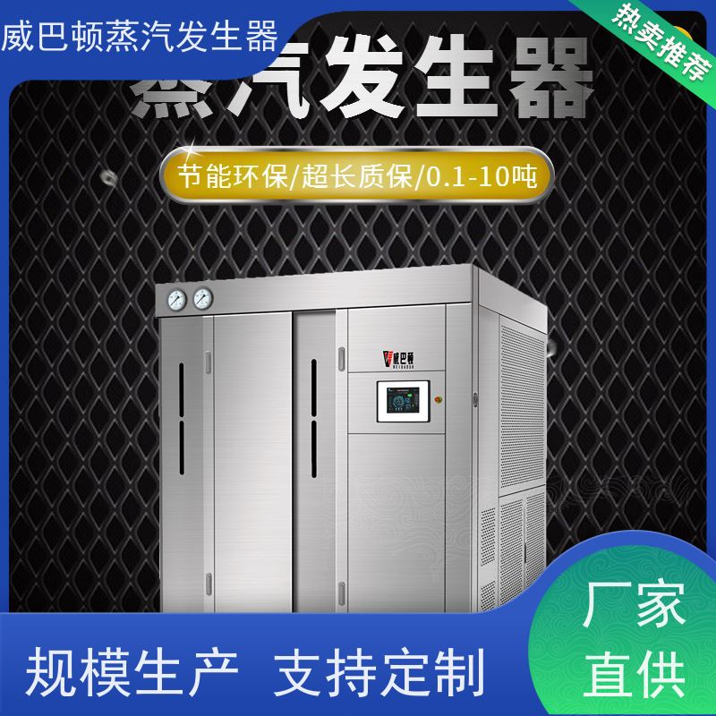  节能环保 液化气蒸汽发生器 热效率 101% 还省气 印染厂