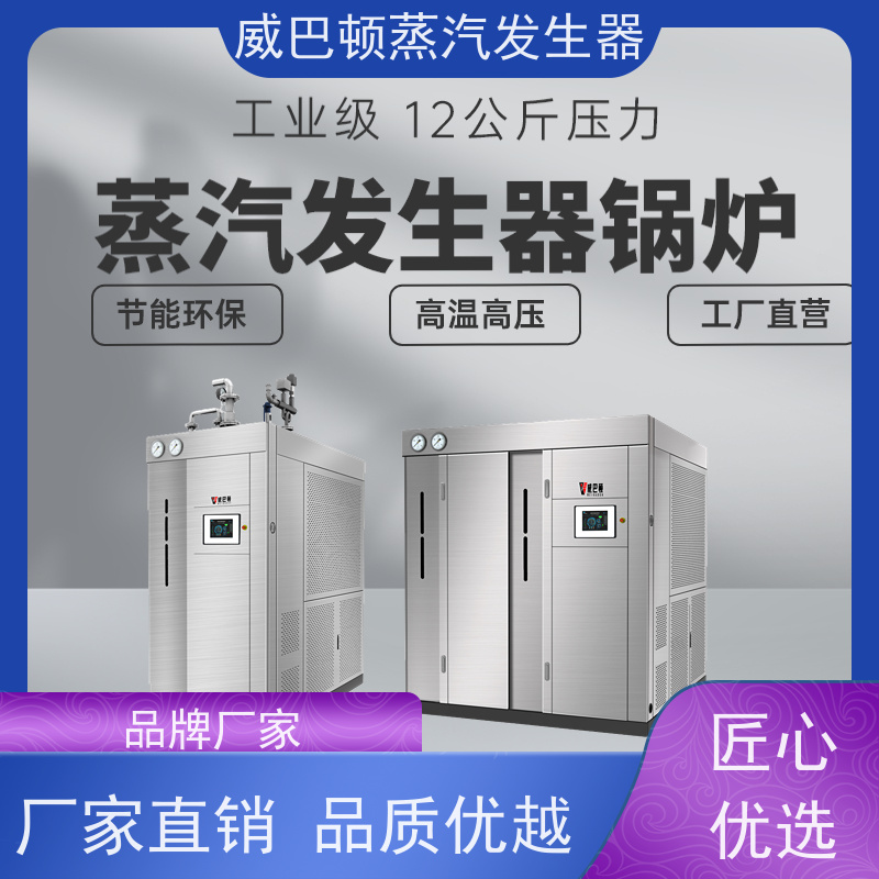  低氮冷凝 天然气锅炉设备 体积小一半全 酿酒厂