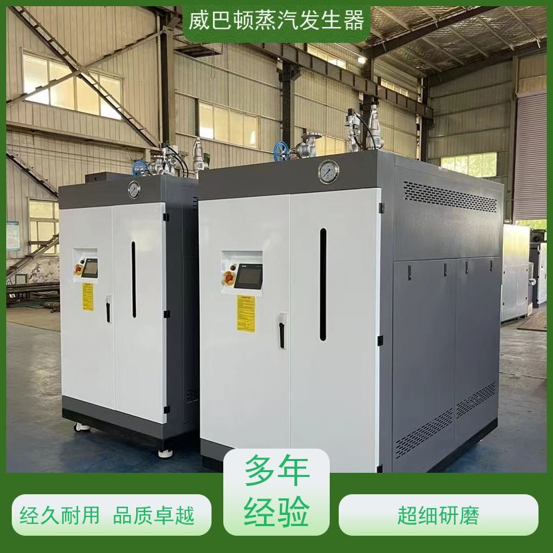  灭菌消毒 液化气蒸汽发生器 水容积≤30L，合规又省心 高温高压