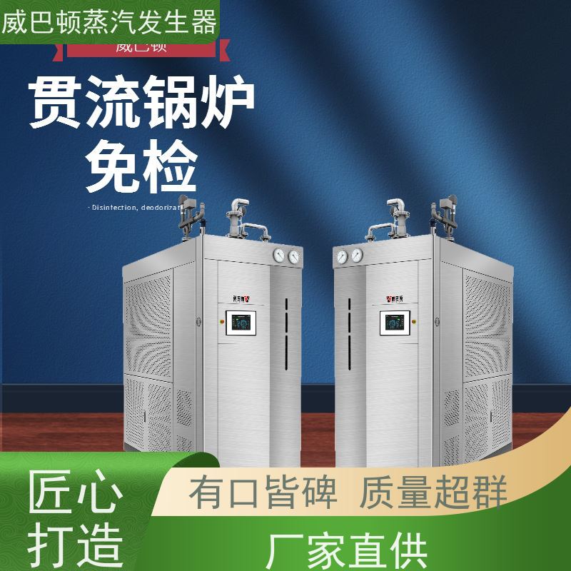  免特检 立式蒸汽锅炉 热效率 101% 还省气 制药厂