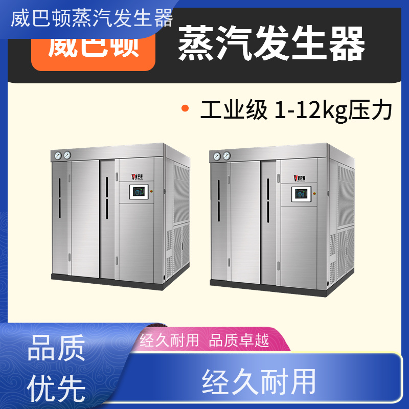  烘干熨烫 蒸馒头专用锅炉 热效率 101% 还省气 橡胶厂