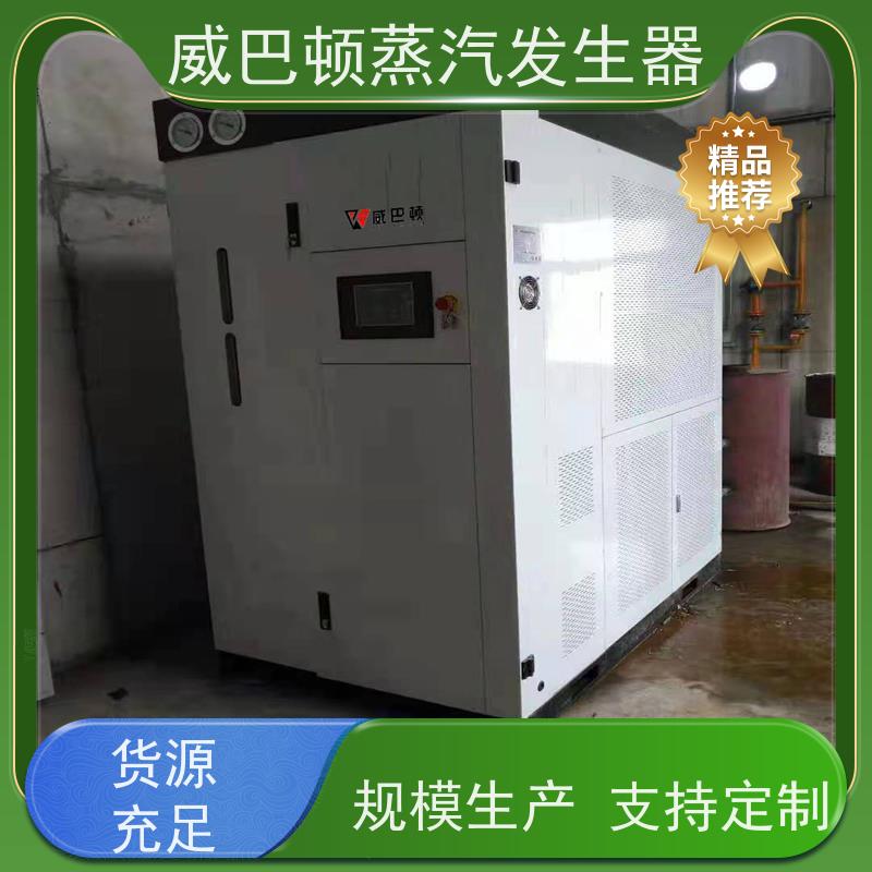 洗涤熨烫 10吨天然气锅炉 水容积≤30L，合规又省心 大棚恒温