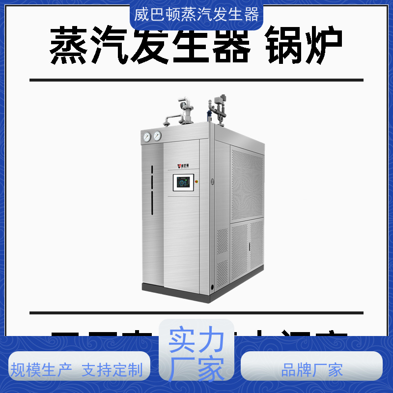  烘干熨烫 燃气蒸汽发生器 多台并联省气稳供 高温高压