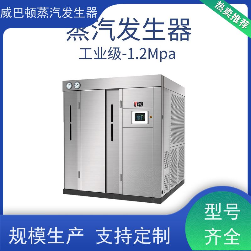  节能环保 全不锈钢锅炉 水容积≤30L，合规又省心 豆腐腐竹加工厂