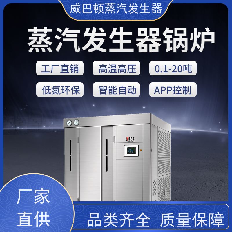  洗涤熨烫 10T蒸汽发生器 小车间也能轻松装 豆腐腐竹加工厂