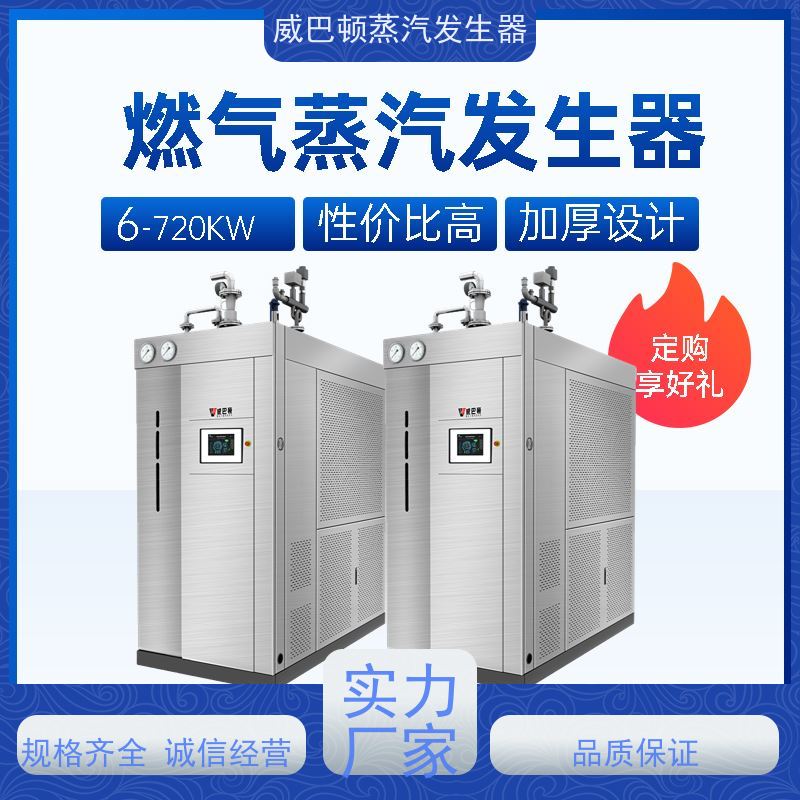  烘干熨烫 蒸馒头专用锅炉 热效率 101% 还省气 印染厂
