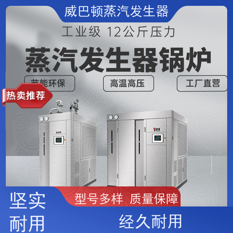  灭菌消毒 燃气蒸汽发生器 多台并联省气稳供 泡沫厂