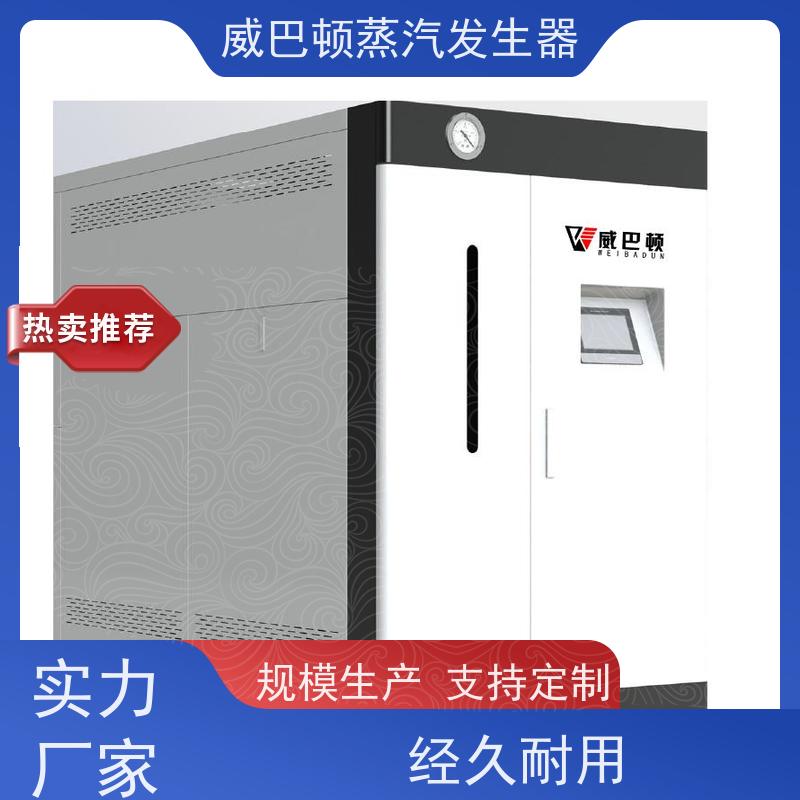  新型国标 8T蒸汽发生器 热效率 101% 还省气 制药厂