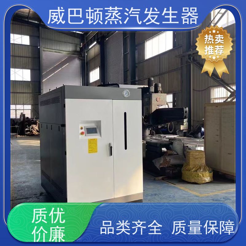  不锈钢 1吨蒸汽发生器 水容积≤30L，合规又省心 泡沫厂