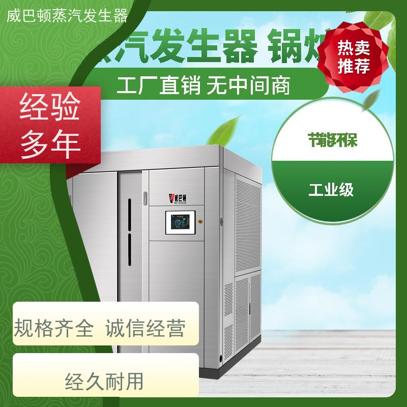  烘干熨烫 高压蒸汽锅炉 多台并联省气稳供 智能控温