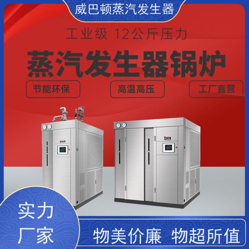  新型国标 液化气热水锅炉 水容积≤30L，合规又省心 制药厂