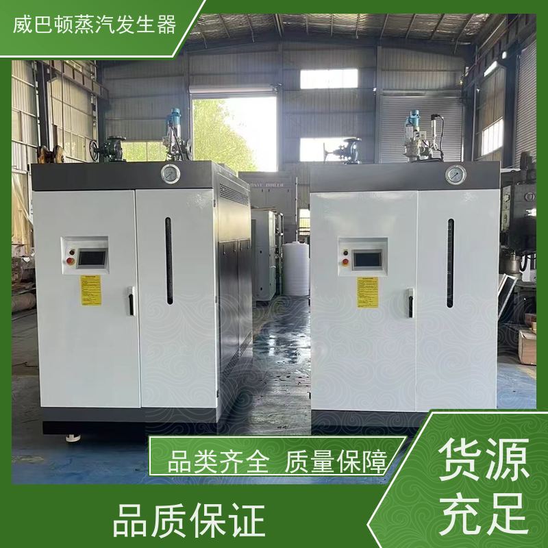  灭菌消毒 蒸汽锅炉设备 热效率 101% 还省气 造纸厂