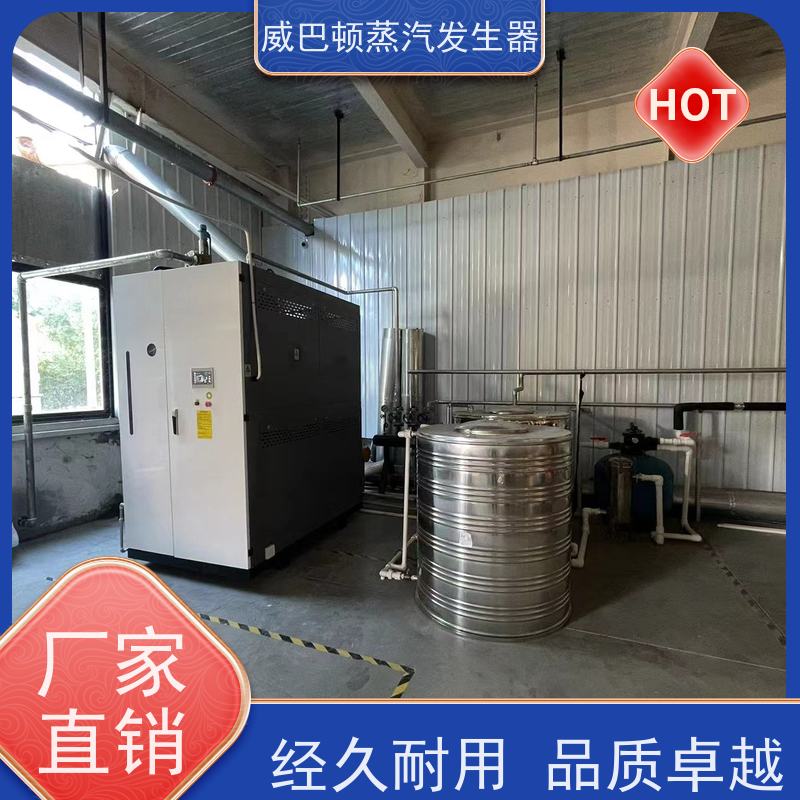  灭菌消毒 六吨蒸汽锅炉 水容积≤30L，合规又省心 酿酒厂