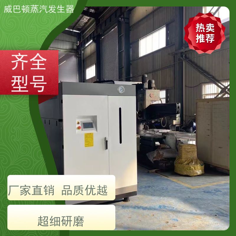  不锈钢 节能蒸气炉 水容积≤30L，合规又省心 橡胶厂