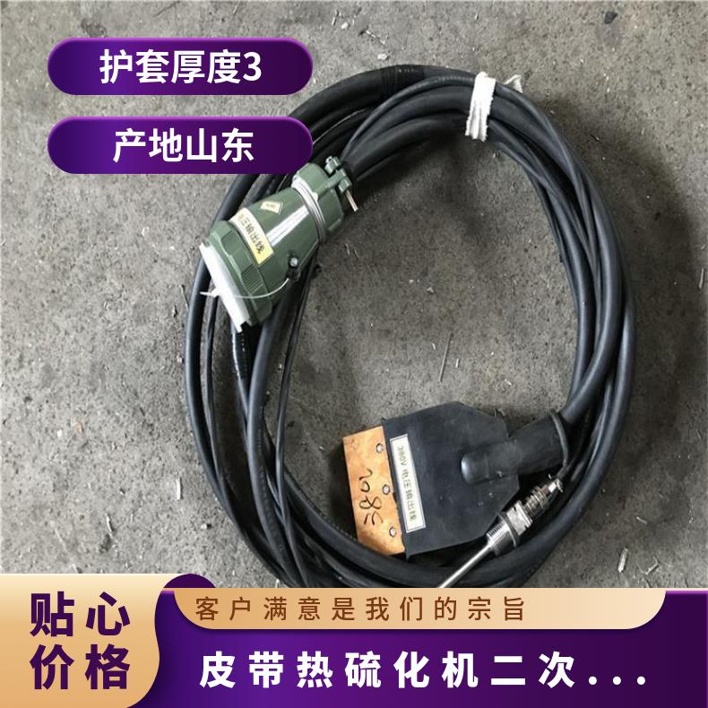 型号DJSL皮带热硫化机二次导线连接电控箱电源线