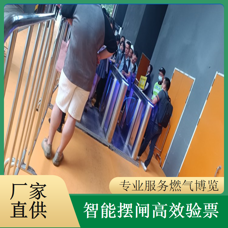 燃气博览会摆闸闸机租赁 - 人脸识别款 + 大型博览技术驻场