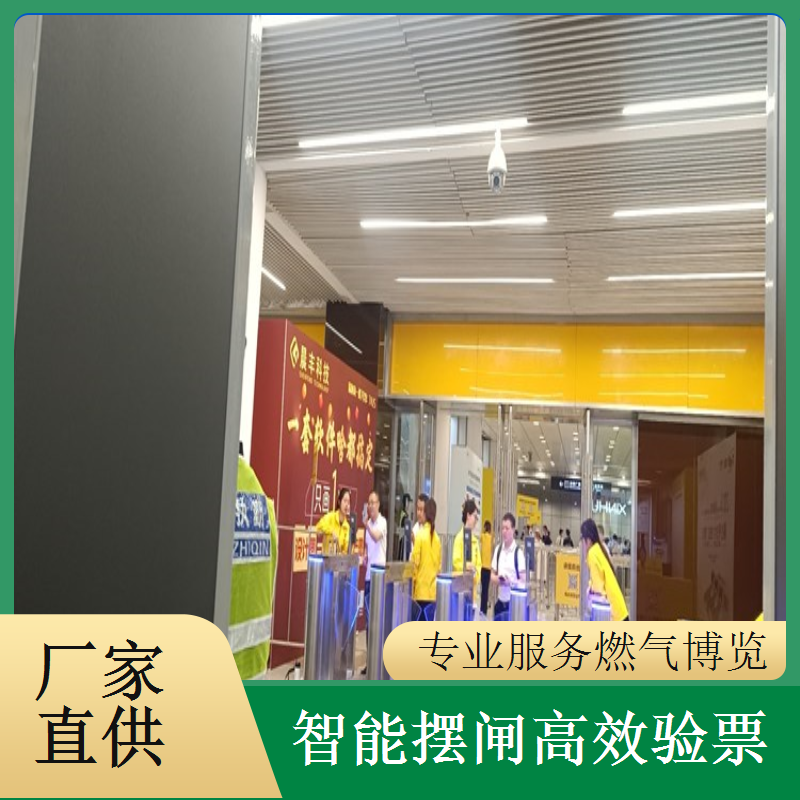 燃气博览会摆闸闸机租赁 - 防尾随人脸识别款 + 短期租用调试