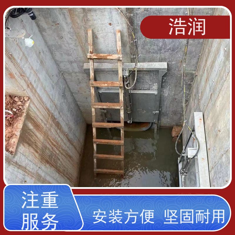 浩润 手电两用启闭机闸门 防腐性强 结构合理 品质可信