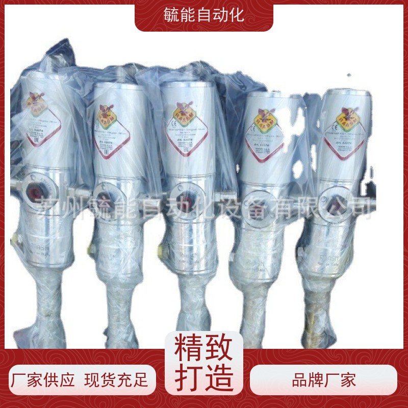 意大利进口raasm不锈钢气动润滑油脂泵活塞泵62074