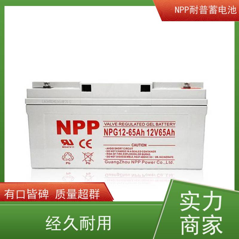 NPP蓄电池 12V24AH 阀控式密封储能型 华南区代理 