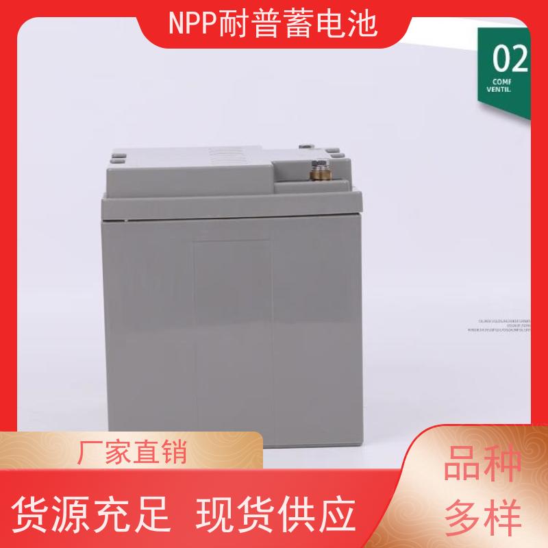 耐普蓄电池 NPG12-200 适用EPS ups电源 质量保证 