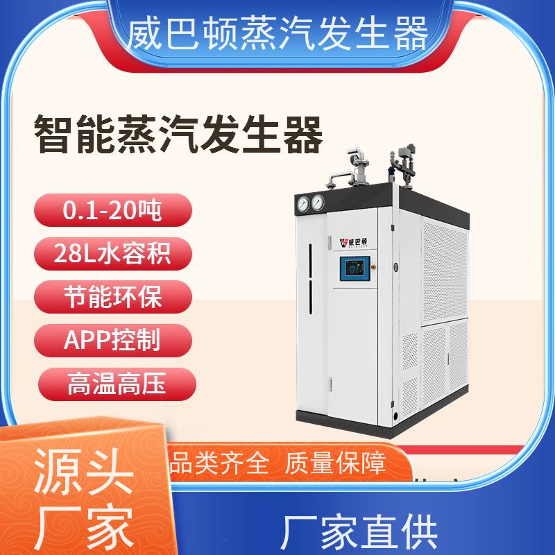  新型国标 贯流蒸汽发生器 热效率 101% 还省气 橡胶厂