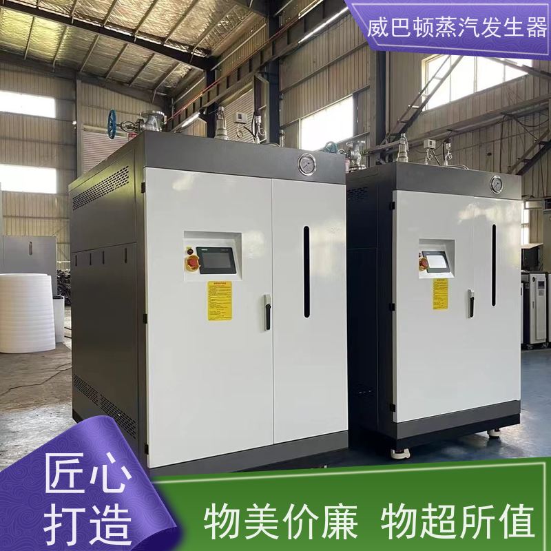 低氮冷凝 液化气蒸汽发生器 热效率 101% 还省气 食品烘干