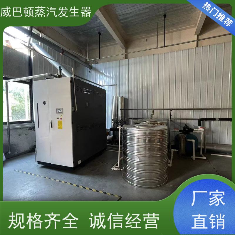  烘干熨烫 环保型锅炉 水容积≤30L，合规又省心 泡沫厂