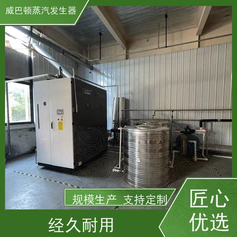  低氮冷凝 六吨蒸汽锅炉 水容积≤30L，合规又省心 食品厂