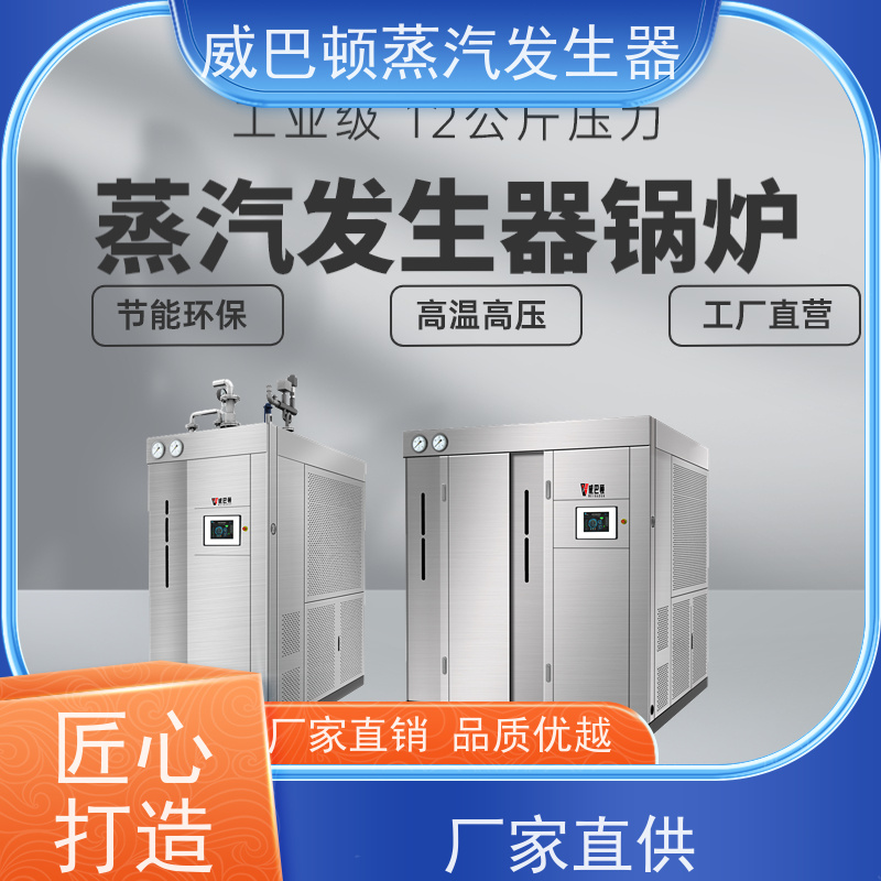  低氮冷凝 立式蒸汽发生器 热源机 豆腐腐竹加工厂