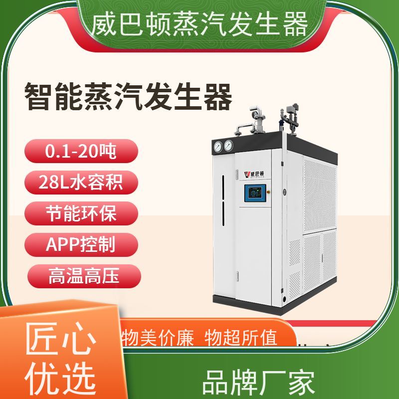  新型国标 贯流蒸汽锅炉 热源机 豆腐腐竹加工厂