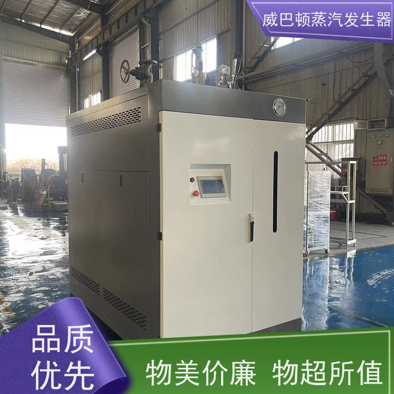  低氮冷凝 新能源环保锅炉 热效率 101% 还省气 智能控温
