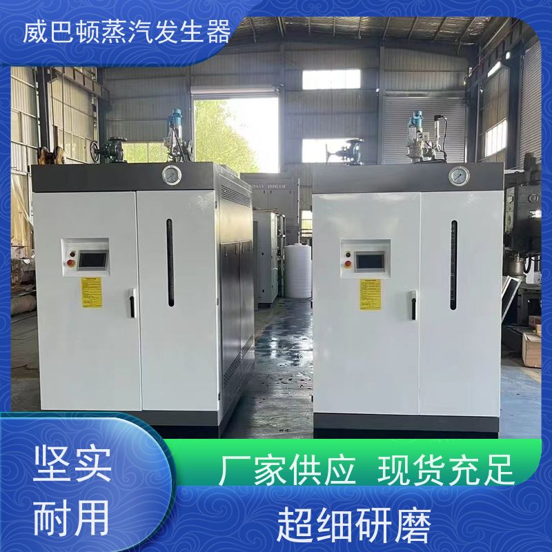  新型国标 5T蒸汽发生器 热效率 101% 还省气 混凝土养护