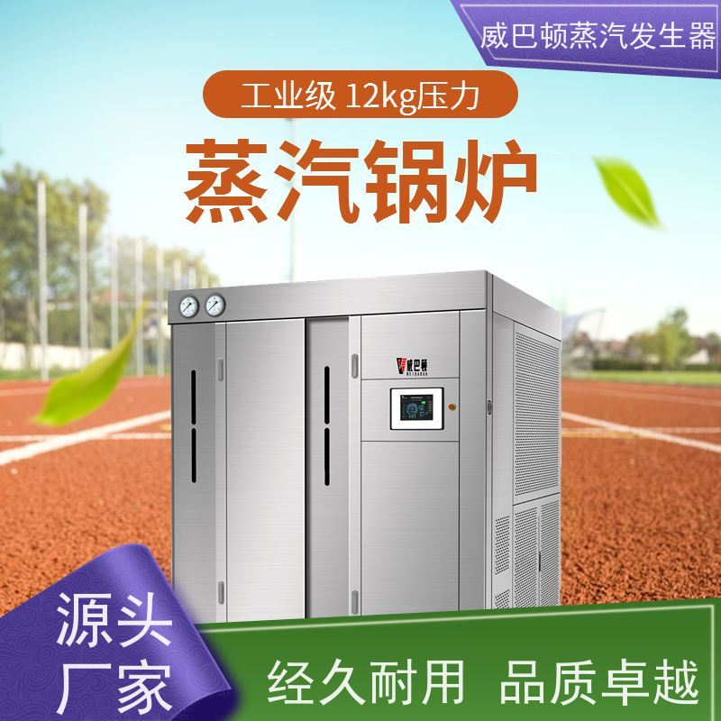  低氮冷凝 5T蒸汽发生器 体积小一半全 混凝土养护