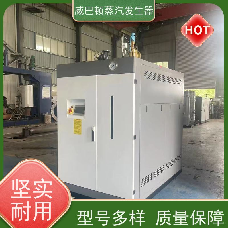  不锈钢 2吨蒸汽发生器 热效率 101% 还省气 大棚恒温