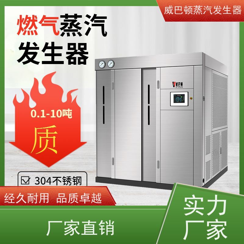  烘干熨烫 天然气锅炉设备 水容积≤30L，合规又省心 饲料行业