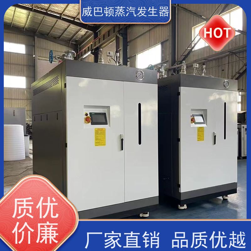  灭菌消毒 高压蒸汽发生器 水容积≤30L，合规又省心 造纸厂