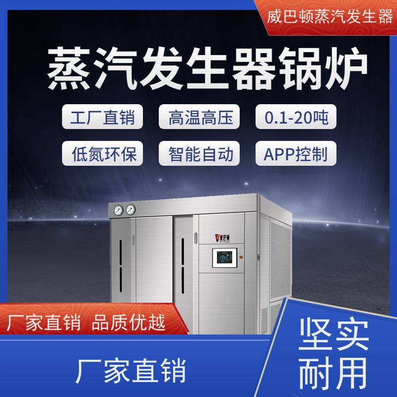  节能环保 5吨燃气锅炉 热效率 101% 还省气 印染厂