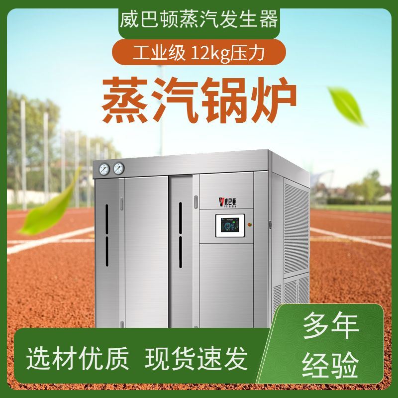  免特检 5吨燃气锅炉 3 分钟出蒸汽 豆腐腐竹加工厂