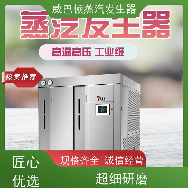  新型国标 新能源环保锅炉 水容积≤30L，合规又省心 印染厂
