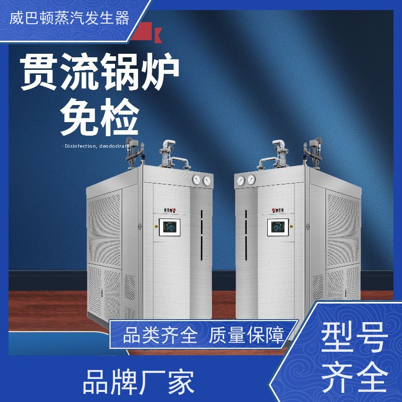 灭菌消毒 高压蒸汽锅炉 水容积≤30L，合规又省心 高温蒸汽机设备
